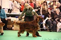 Crufts2011_2 052